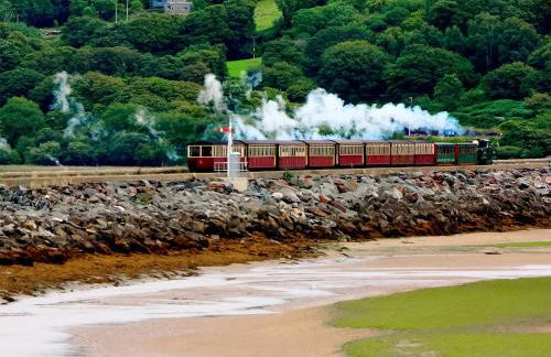 Bron Madog - Foto 25