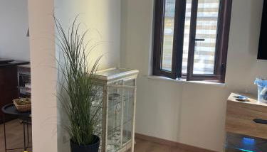 Luxury Suite come al Four Seasons - Foto 5