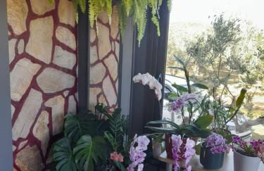 Ulivi e Mare - Foto 20