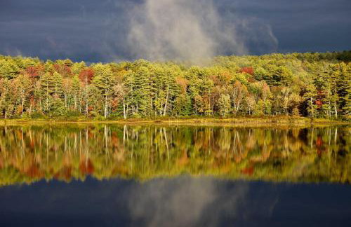 Waterfront Escape with Kayak, Paddle Boards, and Sauna - Foto 42