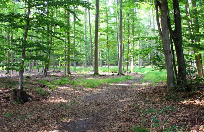 Wohnung im Teutoburger Wald - Foto 35