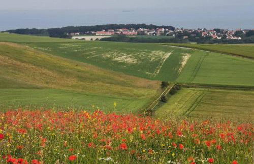 Gite de la Digue - Foto 17