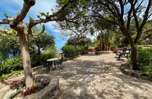 Vinya del mar - Foto 29