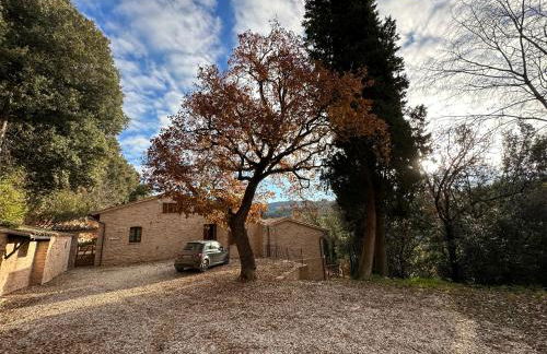 Spello Sant'Onofrio - Foto 4