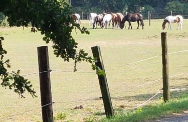 FeWo Overberge - Photo 7