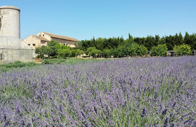 Naturalis Bio Resort & Spa - Foto 61