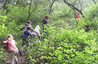 Nature Space Jabugo - Foto 19