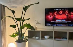 Hygge & Schwarzwald - 2 Zimmer Wohnung in Bad Krozingen - Foto 14