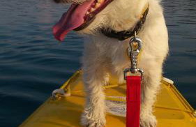 Dom Wakacyjny Kuszewo - Foto 28