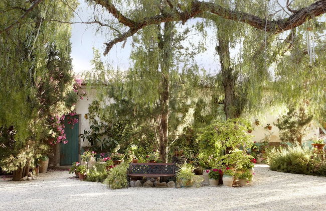 Finca Belon - Foto 16