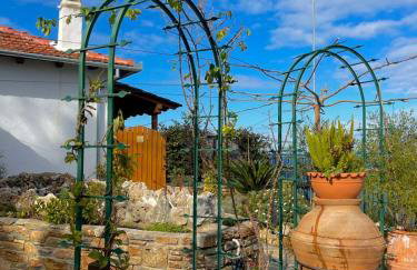 To giataki tou pappou - Foto 32