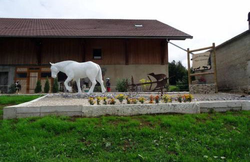 Gîte du cheval blanc - Foto 8