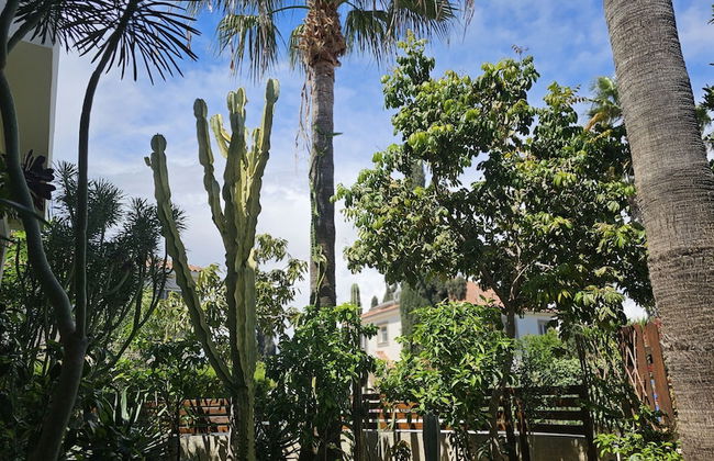 122 VOR - Stay Cactus House - Foto 73