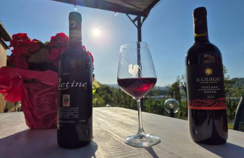 CASA ORNETO - Foto 44