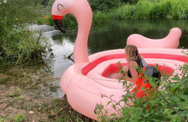 Hertford farm Woodland cabin pet friendly firepit bbq - Foto 35