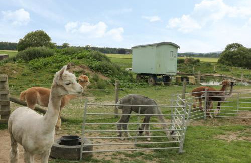 Lon Cottage - Foto 30