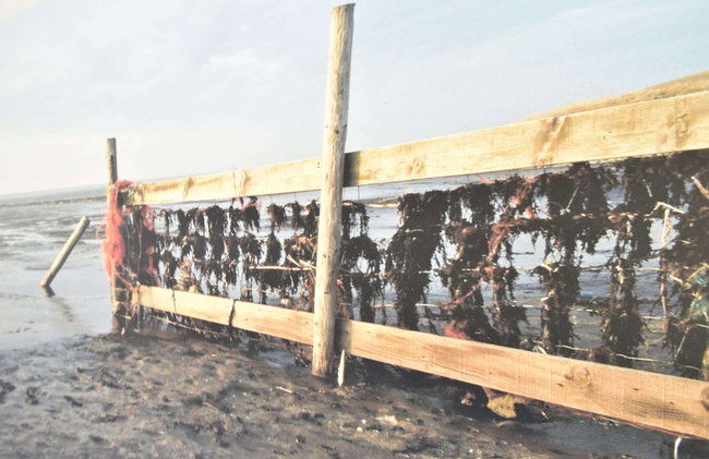 Villa in Friesland Near Wadden Coast - Foto 25