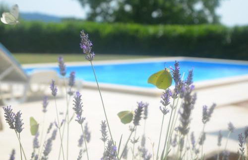 Villa Fragola - Holiday house with large garden - Photo 16