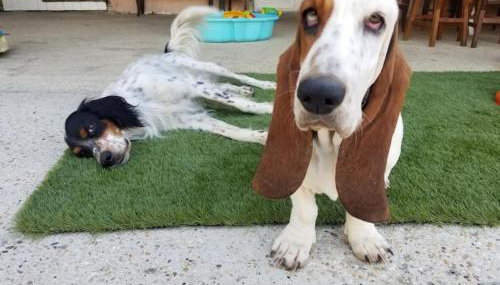 studio3 spacieux 1à4 pers - Foto 5