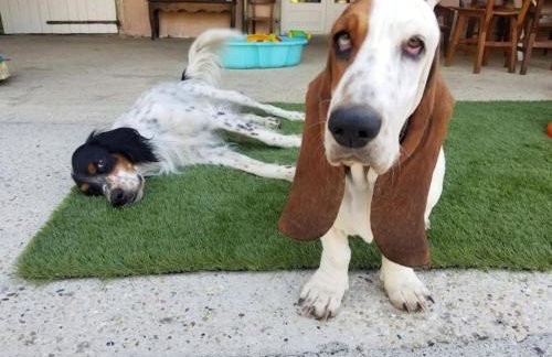 studio3 spacieux 1à4 pers - Foto 5