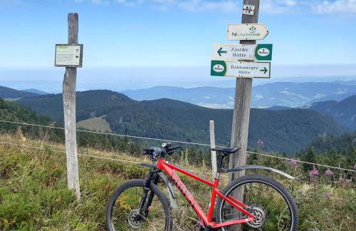 Kopf Frei auf 1000 Meter - Photo 34