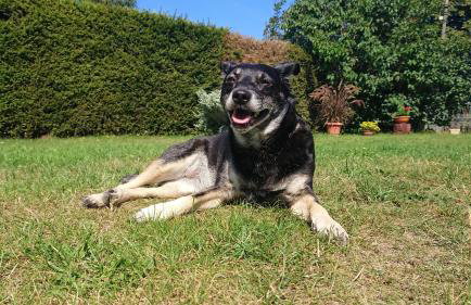 Agroturystyka u Janeckich - Foto 10