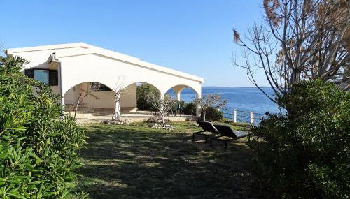 Vila Vinko - Photo 4, Garden