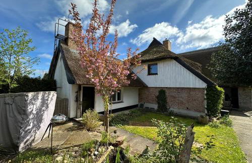 Naturwerk Ostsee - Foto 41