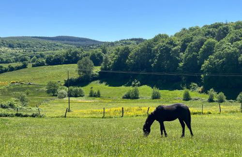 The Place to Be - Foto 14