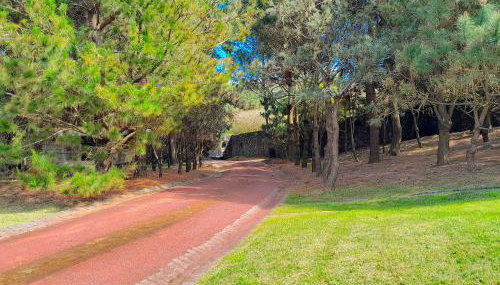 Gala Da Vittoria - Foto 4