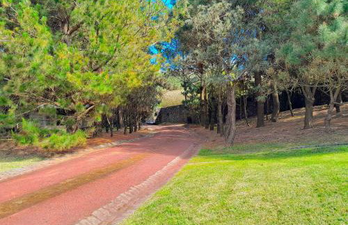 Gala Da Vittoria - Foto 4