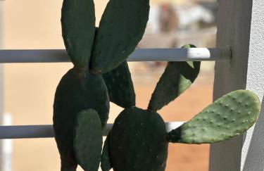 La Savina Ses Platgetes - Foto 39