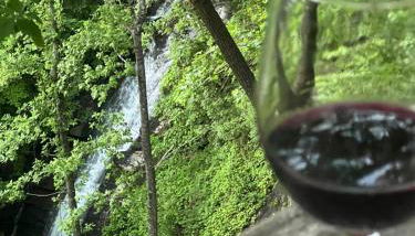 Waterfall Overlook at Bearfoot Falls - Foto 5