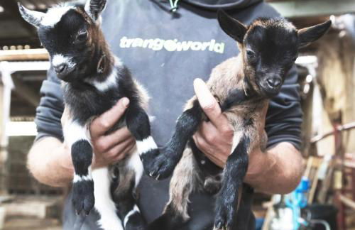 Apartamentos Turísticos Real Valle Ezcaray - Foto 109