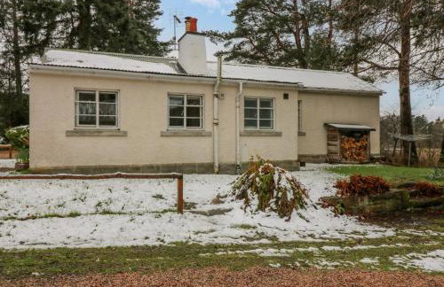 The Bungalow - Photo 19