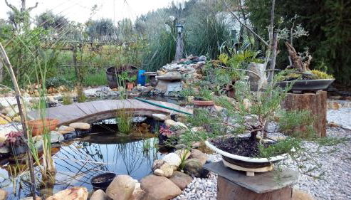 Chão da Lousa - Foto 4, Garden