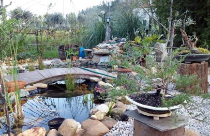 Chão da Lousa - Foto 4