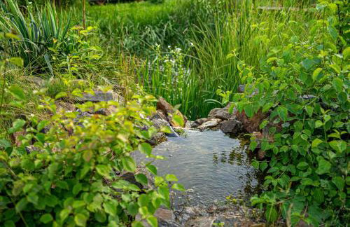 Bieszczadzka Bania - Foto 8