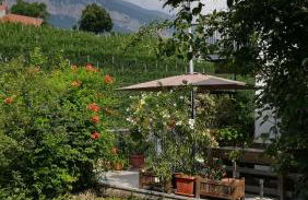 Casa Clima Tandem - Foto 4