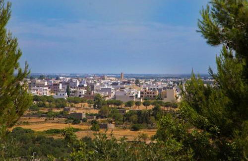 Residencefusaro pajare Specchia - Foto 11