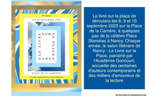 Nancy Thermal à 2 min -Le 1909- 8 pers- parking chez Julie - Photo 19