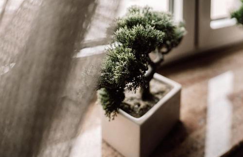 Apartamenty Camila - Foto 37