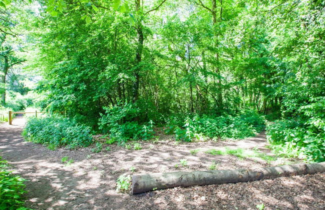 Cosy Holiday Home With a Private Garden - Foto 34