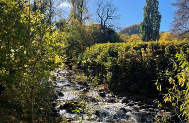 Schöne Aussicht - charmante Ferienwohnung mit Pool und Sauna in Bad Harzburg - Foto 40