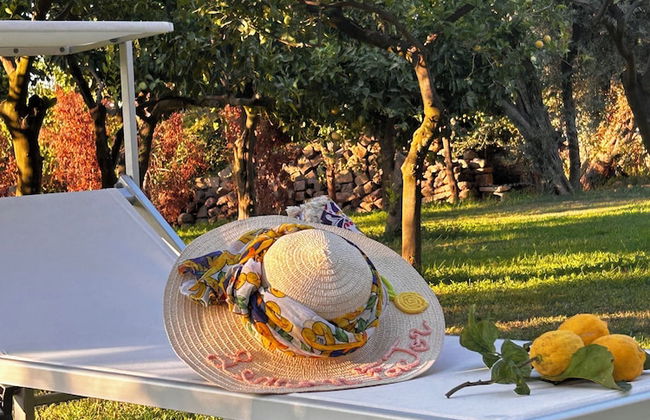 Lemon Factor Sorrento - Photo 75