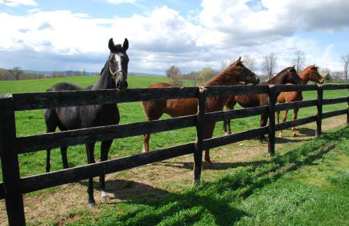 Villa Maud - Foto 41