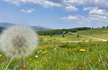 Cocon au cœur des Vosges - Foto 39
