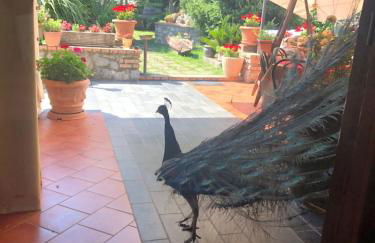 Agriturismo La Baita - Foto 54