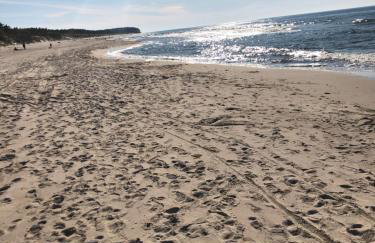 Lawendowe Domki 70m - Foto 20