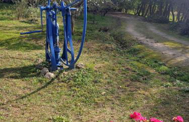 Sondela Self Catering - Foto 27